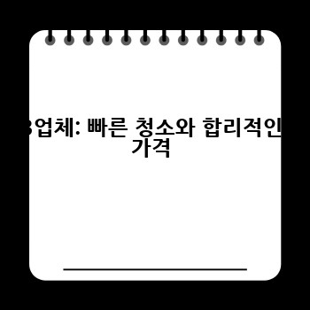 B업체: 빠른 청소와 합리적인 가격