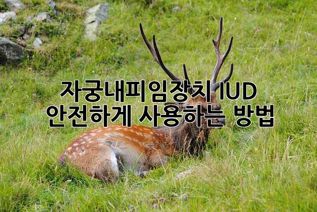 자궁내피임장치 IUD: 안전하게 사용하는 방법