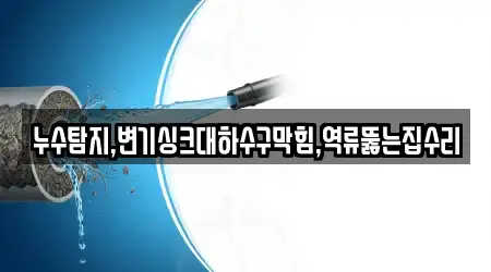 누수탐지,변기싱크대하수구막힘,역류뚫는집수리