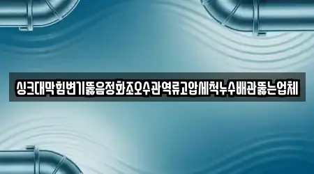 싱크대막힘변기뚫음정화조오수관역류고압세척누수배관뚫는업체