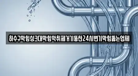 하수구막힘싱크대막힘악취제거기똥찬24시변기막힘뚫는업체