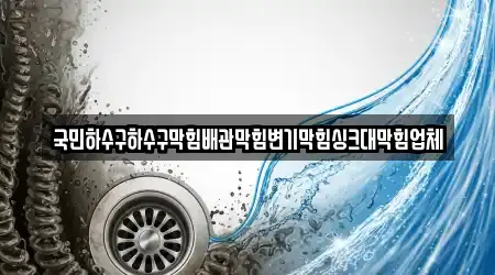 국민하수구하수구막힘배관막힘변기막힘싱크대막힘업체