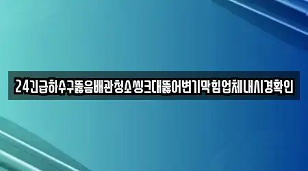 24긴급하수구뚫음배관청소씽크대뚫어변기막힘업체내시경확인