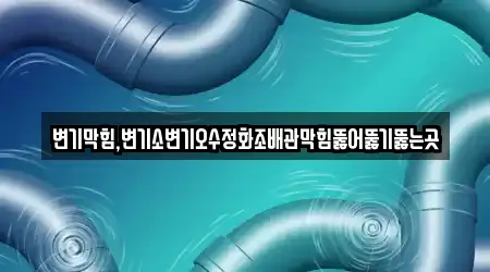 변기막힘,변기소변기오수정화조배관막힘뚫어뚫기뚫는곳