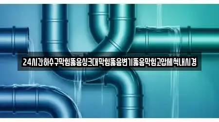 24시간하수구막힘뚫음싱크대막힘뚫음변기뚫음막힘고압세척내시경