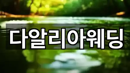 부산광역시 중구 중앙동6가 웨딩컨설팅 위치·전화 2건