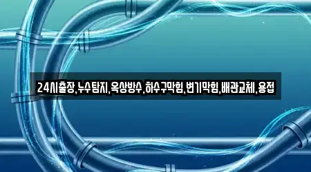 24시출장,누수탐지,옥상방수,하수구막힘,변기막힘,배관교체,용접
