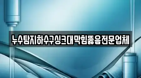 누수탐지하수구싱크대막힘뚫음전문업체