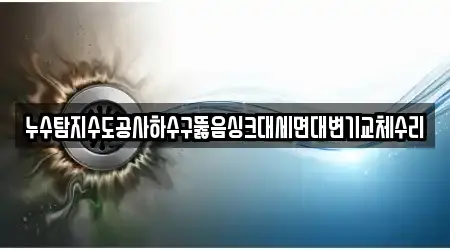 누수탐지수도공사하수구뚫음싱크대세면대변기교체수리