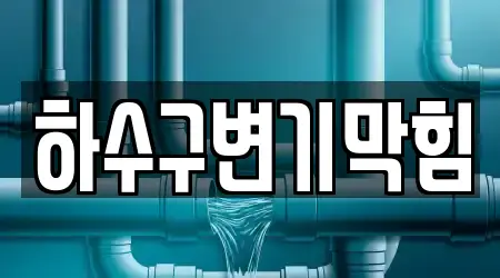 하수구변기막힘