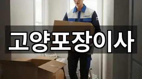 경기도 정발산동 포장이사 5곳 위치 점검