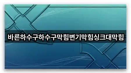 바른하수구하수구막힘변기막힘싱크대막힘