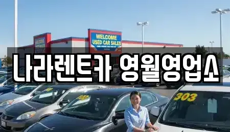 강원 영월군 영월읍 렌트카 전문 나라렌트카 영월영업소