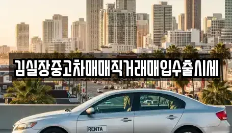 경기도 고양시 덕양구 효자동 중고차 전문 김실장중고차매매직거래매입수출시세