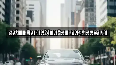 경기도 고양시 덕양구 효자동 중고차 전문 중고차매매최고가매입24시간출장비무료견적현장방문지누카