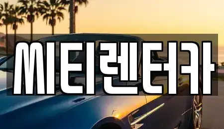 경상남도 창원시 성산구 남양동 렌트카 전문 씨티렌터카