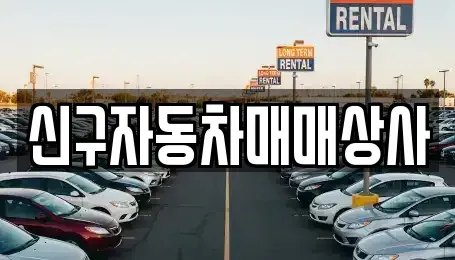 경상남도 창원시 성산구 남양동 중고차매매 전문 신구자동차매매상사
