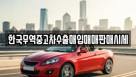 경상남도 창원시 성산구 남양동 중고차매매 전문 한국무역중고차수출매입매매판매시세