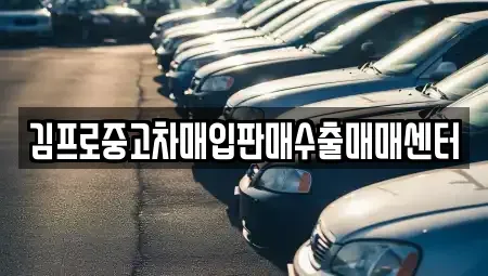 경상남도 창원시 성산구 남양동 중고차매입 전문 김프로중고차매입판매수출매매센터