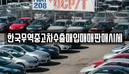 경상북도 영주시 상줄동 중고차매입 전문 한국무역중고차수출매입매매판매시세
