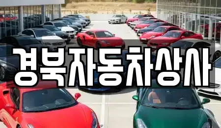 대구 달서구 두류동 중고차매매,단기렌트카,중고차매입,장기렌트카,중고차,렌트카