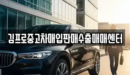 대구 달서구 두류동 중고차매매 전문 김프로중고차매입판매수출매매센터