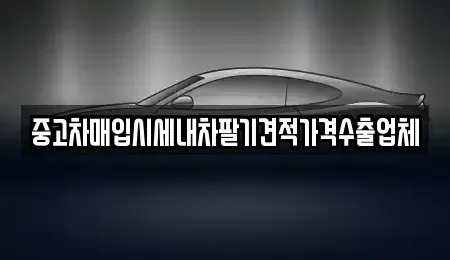 대구 달서구 두류동 중고차매매 전문 중고차매입시세내차팔기견적가격수출업체