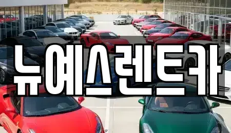대구 중구 하서동 렌트카,단기렌트카,장기렌트카,중고차,중고차매매,중고차매입