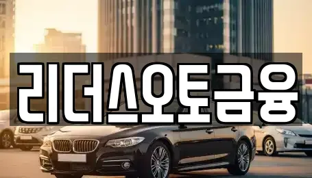 대구 중구 하서동 렌트카 전문 리더스오토금융