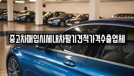 대구 중구 하서동 중고차 전문 중고차매입시세내차팔기견적가격수출업체