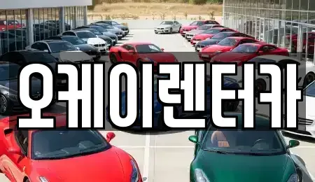대전 유성구 원내동 렌트카,단기렌트카,장기렌트카,중고차,중고차매매,중고차매입