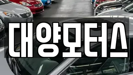 전남 순천시 풍덕동 중고차 전문 대양모터스