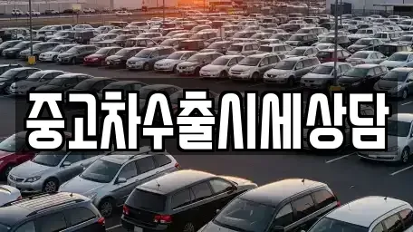전남 순천시 풍덕동 중고차매매 전문 중고차수출시세상담