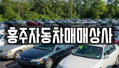 충남 홍성군 구항면 중고차매매 전문 홍주자동차매매상사